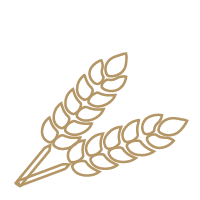 Gluten Free Gluten Free